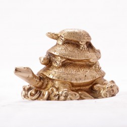 Feng Shui Tortoise