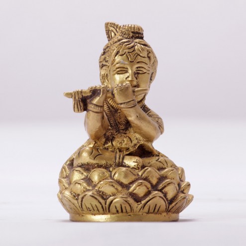 Baby krishna On Lotus